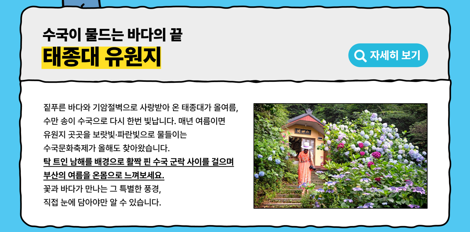 태종대 유원지 - 수국이 물드는 바다의 끝 (자세히 보기)