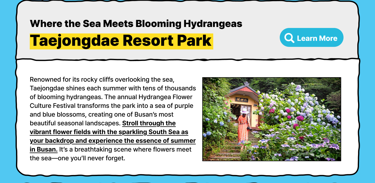 Taejongdae Resort Park — Where the Sea Meets Blooming Hydrangeas (Learn More)